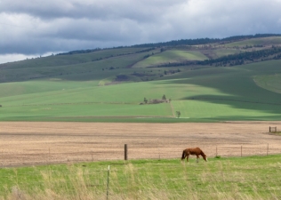 Cottonwood Canyon Farm